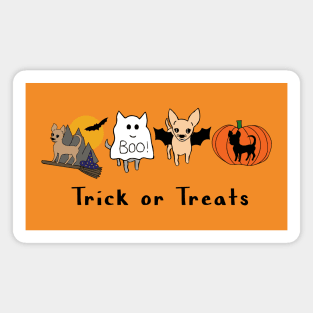 Orange Halloween Chis - Smooth Coat Chihuahuas - Halloween Chihuahua Tee Magnet